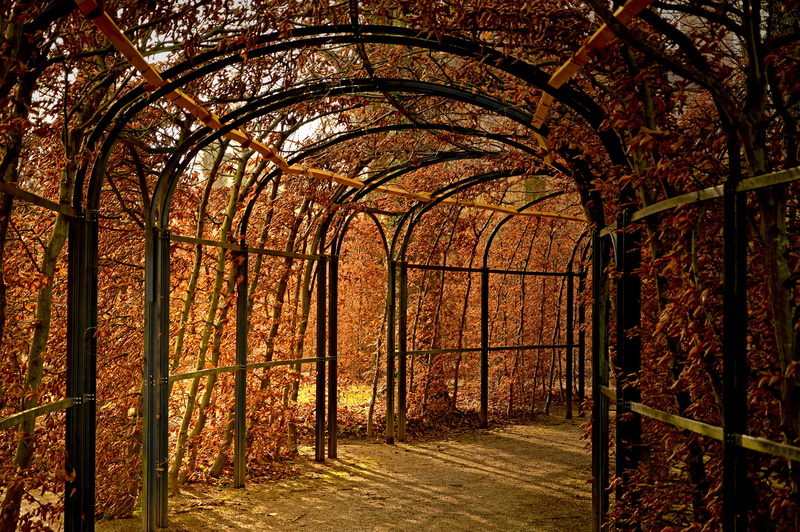 park, plant, footpath, castle park, leaves, monastery park, no people, growth, lighting, day, hornbeam hedge, metal, the way forward, direction, architecture