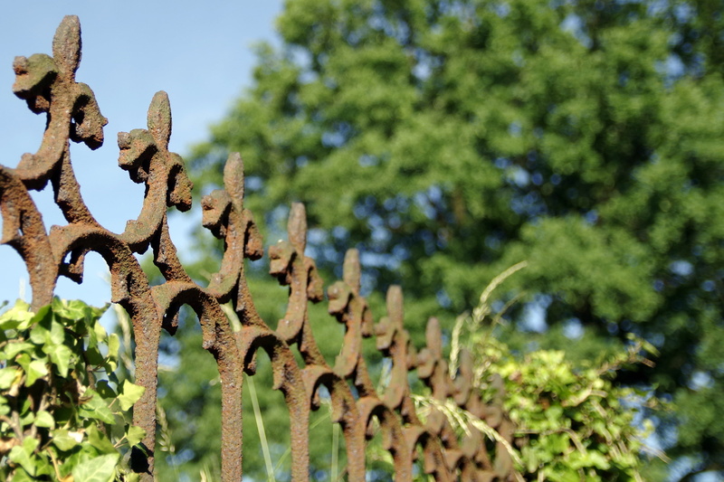 nature, park, land, beauty in nature, plant part, metal, no people, the fence, sunlight, leaf, 4K, model, old, green color, trellis, tranquility, forged