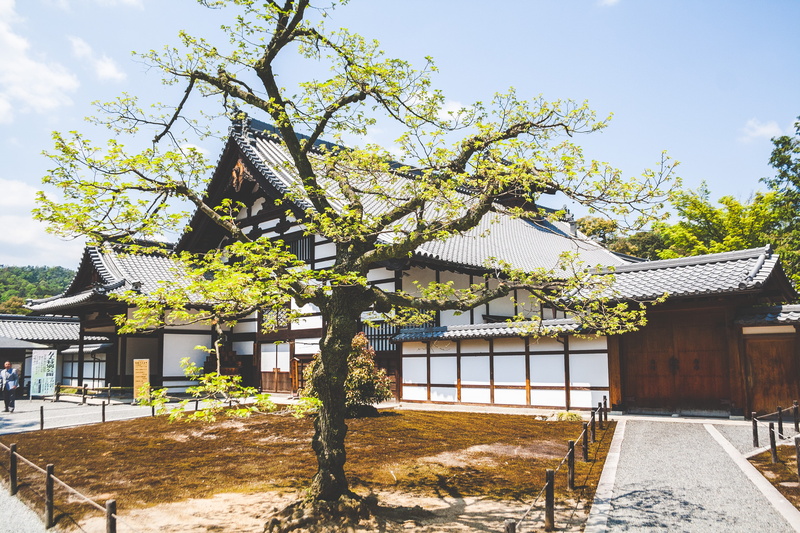 outdoors, house, plant, white, Japanese, daylight, architecture, roof, Asian, tea tree, japan, culture, trees, wooden fence, spirituality, wooden, travel