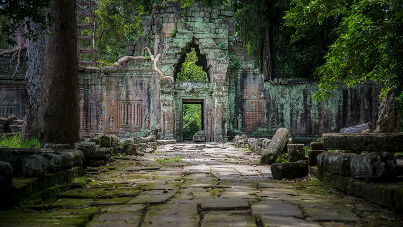 1080P, temple, trees, ancient, walkway, roots, leaves, plants, Cambodia, rocks, ruins, moss