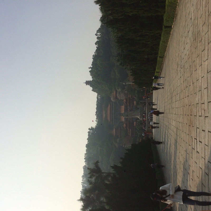 city, person, sky, flagstone, path, town, metropolis, large group of people, land, pedestrian, worship, nature, building exterior, shrine, plant, real people