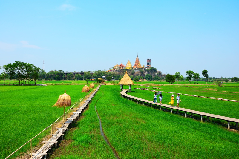 the past, beauty in nature, land, nature, environment, summer, temple, travel, architecture, no people, outdoor, built structure, growth, grass, thailand