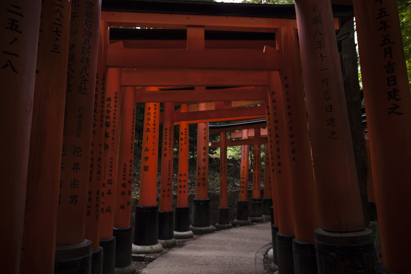 building, architecture, the way forward, staircase, bicycle, worship, gates, asphalt, communication, built structure, column, belief, non-western script