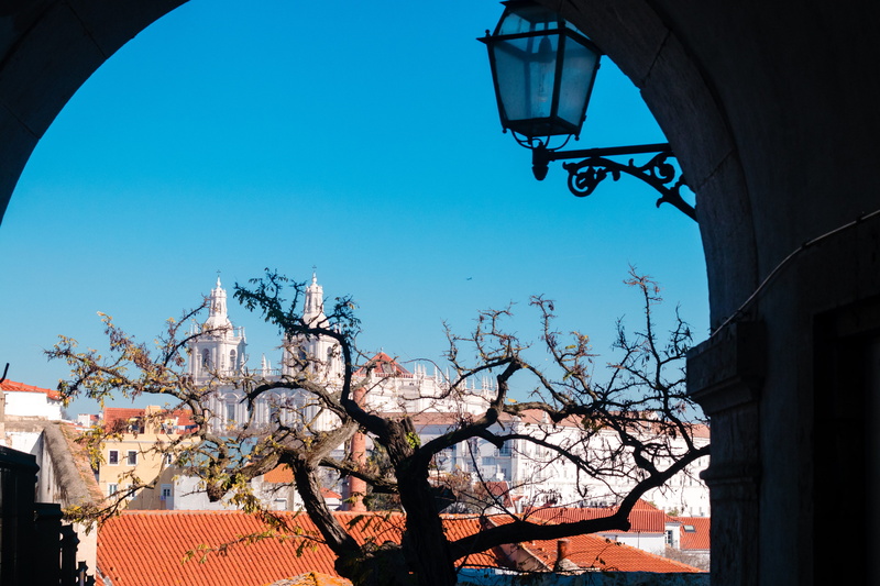 lamp, building exterior, 5K, bare tree, town, tree trunk, clear sky, downtown, blue, urban, temple, path, no people, building, day, sky, tower, tree, cherry blossom