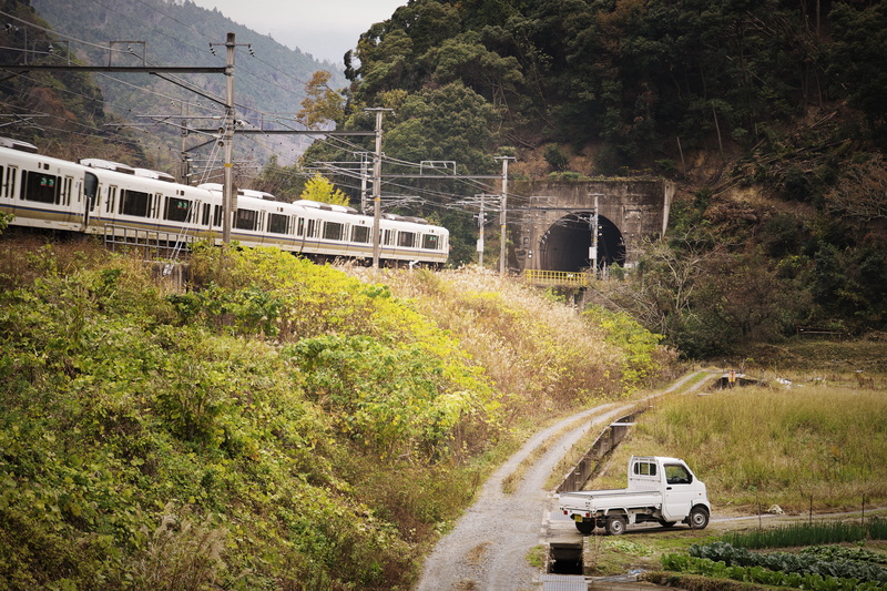 architecture, train - vehicle, land vehicle, japanese car, track, jr, plant, day, motion, public transportation, nature, connection, built structure, transportation