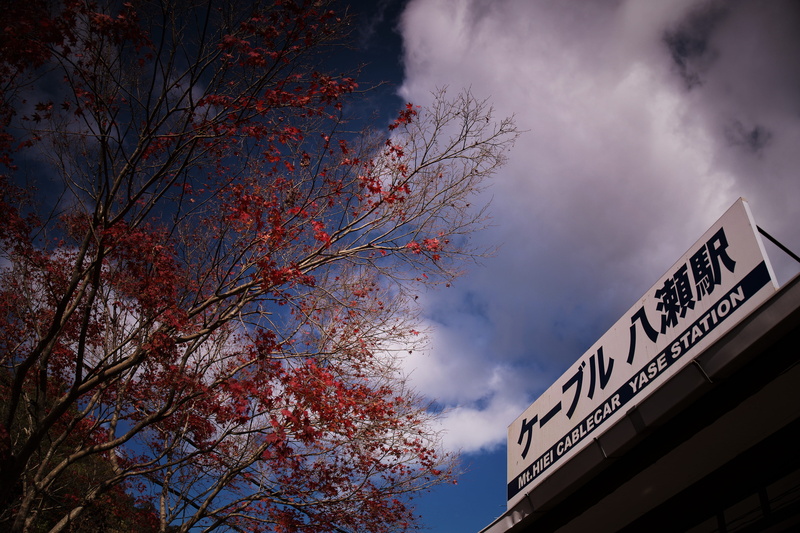 outdoors, background, day, low angle view, japan, sky, 5K, plant, train station, nature, built structure, sign, change, cloud - sky, text, architecture