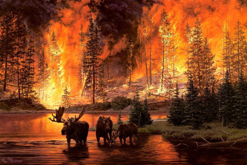 fire, flames, 1080P, Moose, animals, nature, art, situation, landscapes, artistic, Trees, forests, tschetter, Jim, paintings
