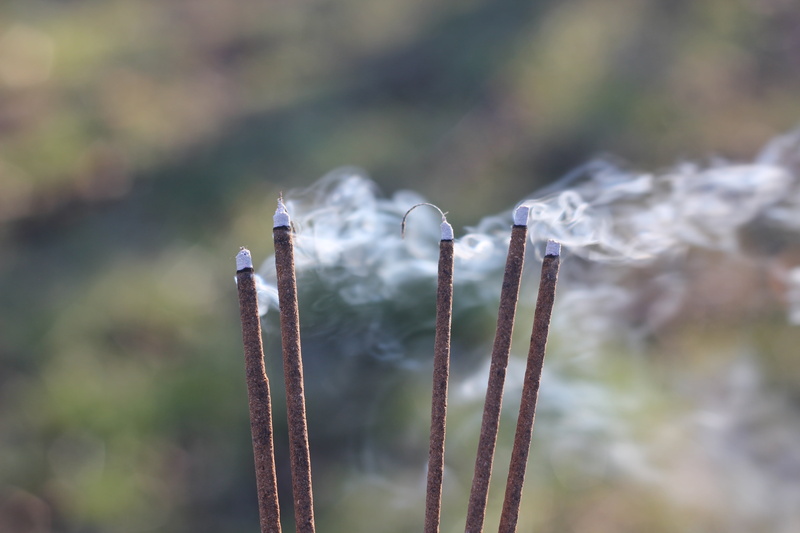 cold temperature, smoke, incense, close-up, growth, burnt, selective focus, social issues, smoke - physical structure, no people, metal, plant, belief