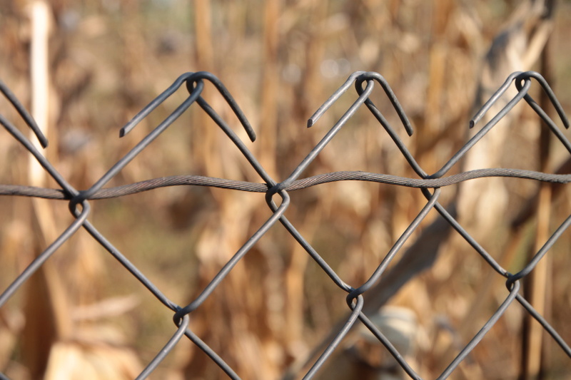 absence, focus on foreground, Fencing, Fence, outdoors, safety, security, wire mesh, nature, protection, backgrounds, metal, industries, Galvanized, barrier