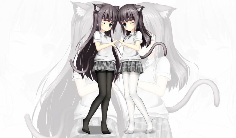 pantyhose, seifuku, photoshop, animal, shoutu, catgirl, yuri, 2K, ears, loli
