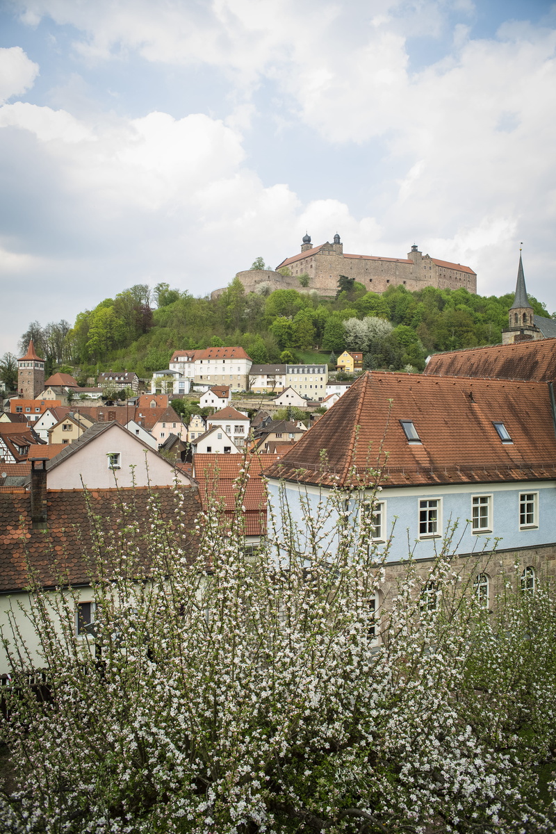plant, land, nature, germany, high angle view, mediaeval times, house, feather trimming, sky, dark ages, no people, coat of mail, built structure, building