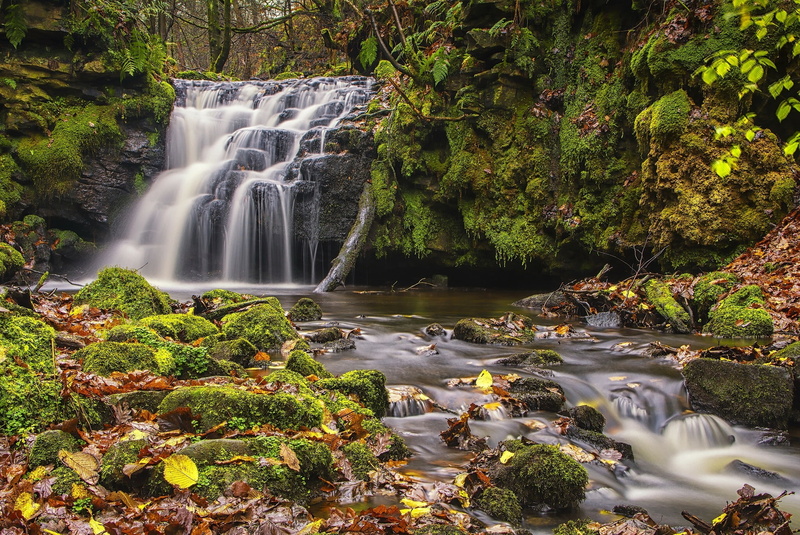 Todmorden, moss, England, Gorpley Clough Falls, autumn, waterfall, 1080P, leaves, West Yorkshire, cascade