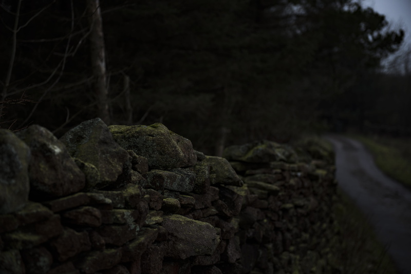 dark colours, walk, countryside, wood - material, nature, rubble, plant, near, land, day, west yorkshire, gloomy, england, close-up, rock, bark, clothing