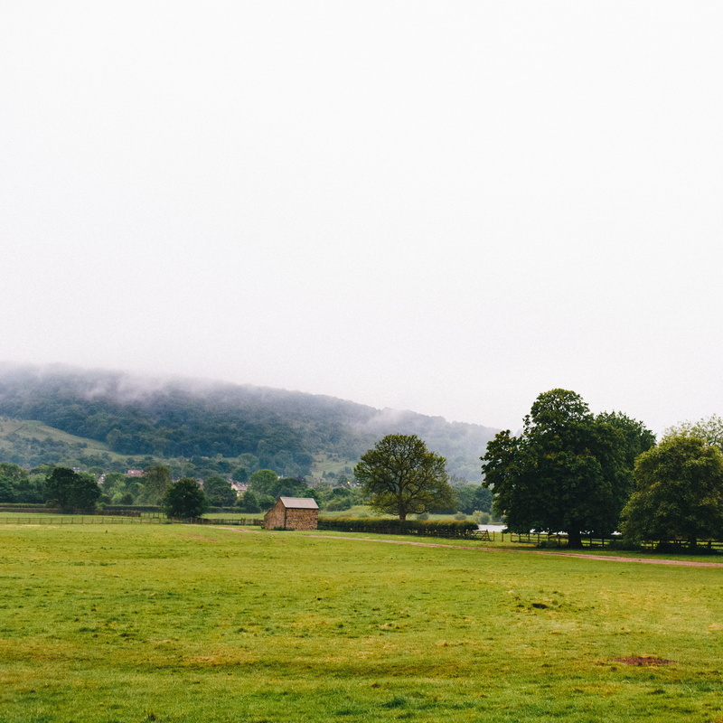 2K, united kingdom, farm, trees, leeds, environment, farming, plant, land, tree, country, grass, landscape, yorkshire, green color, fog, day, otley, field