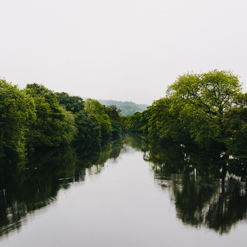 yorkshire, waterfront, west yorkshire, scenics - nature, no people, nature, growth, outdoors, vsco, copy space, fog, summer, reflection, wharfe, otley