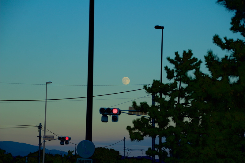 5K, day, electricity, clear sky, stoplight, fukuoka, plant, outdoors, road, guidance, light, japan, transportation, road signal, fukuoka prefecture, moon