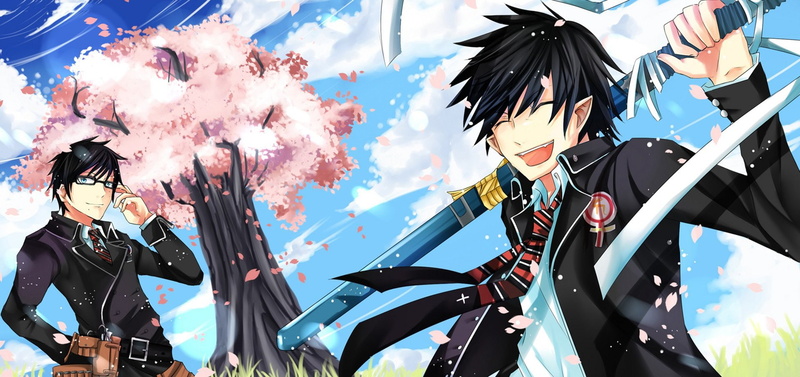 Blue Exorcist, Anime, Rin Okumura, Yukio Okumura, Ao No Exorcist, 1080P