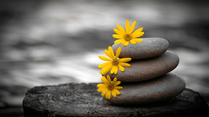 stones, 1080P, nature and landscapes, nature, yellow, pile, flowers