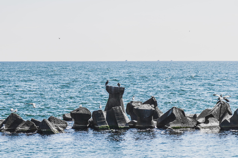 water, swimming, romania, marine, nature, clear sky, solid, beauty in nature, waterfront, photography, rock - object, animal themes, seascape, horizon