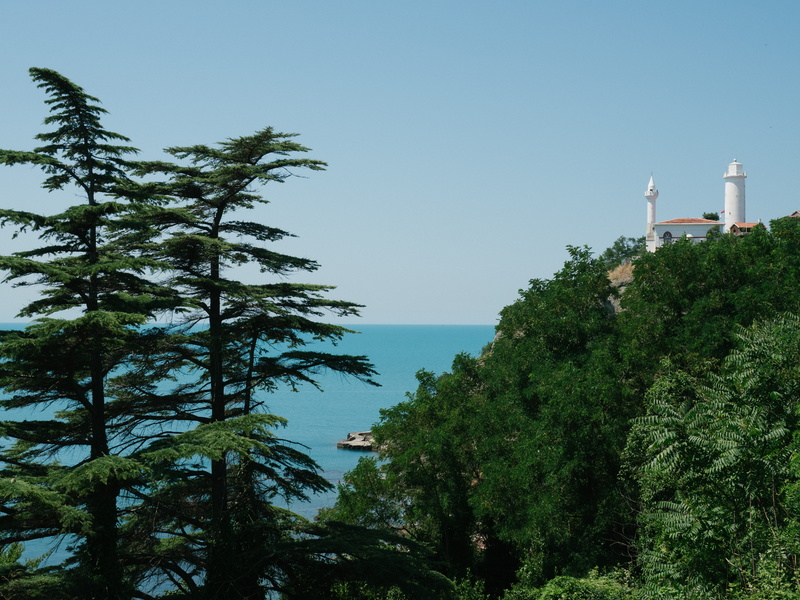 water, no people, growth, day, anadolu feneri, nature, tower, sky, beauty in nature, building exterior, green color, istanbul, islam, plant, tree, blue