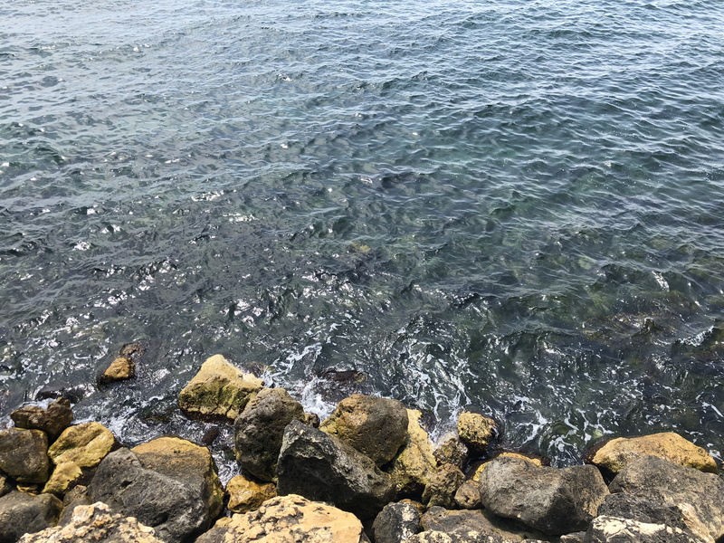 shallow, blacksea, solid, 4K, tranquility, rock - object, motion, constanta, nature, water, land, rocky coastline, sea, romania, scenics - nature, aquatic sport