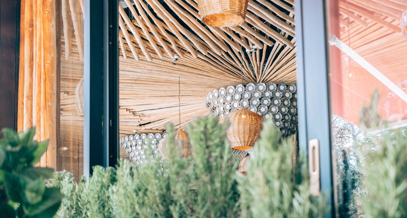 broom, russia, beach, gardening, xe3, building exterior, architecture, built structure, blacksea, cafe, glass - material, door, sea, day, growth, sochiponia