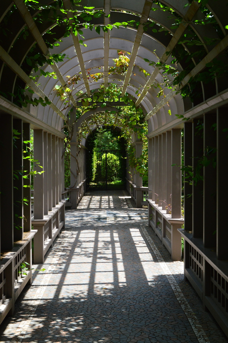 arch, architecture, architectural column, outdoors, 5K, sunlight, garden, empty, building, direction, nature, corridor, no people, diminishing perspective