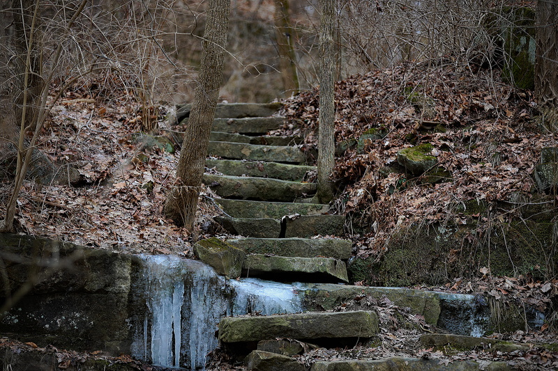 forest, no people, land, winter, water, outdoors, body, stream, stairs, ice, olmsted falls east river park, trees, tranquility, tree, staircase, surrounded