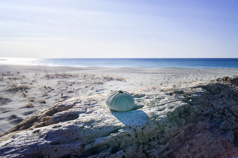 water, seascape, driftwood, sky, solid, outdoors, 2K, hamamatsu, seaurchin, horizon over water, tranquil scene, japan, rock - object, scenics - nature