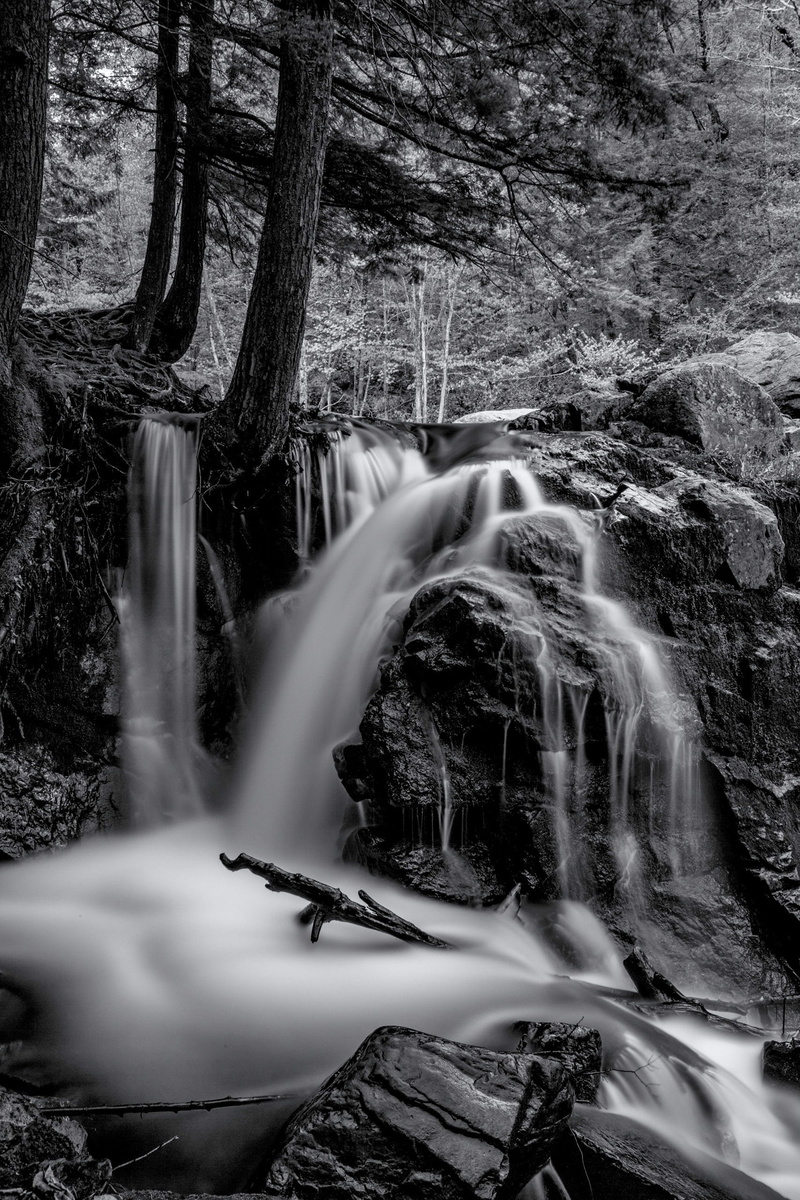 day, plant, long expo, motion, smooth, beauty in nature, mountains, 2K, natural, flowing water, nature, tree, land, blurred motion, growth, united states