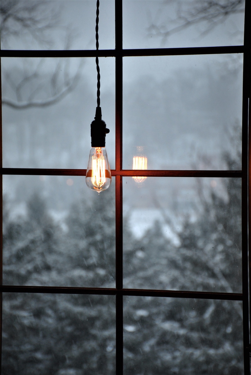 light, lampshade, window, no people, electric lamp, bird, silhouette, sky, honeycomb, nature, lightbulb, lighting equipment, utility pole, electric light