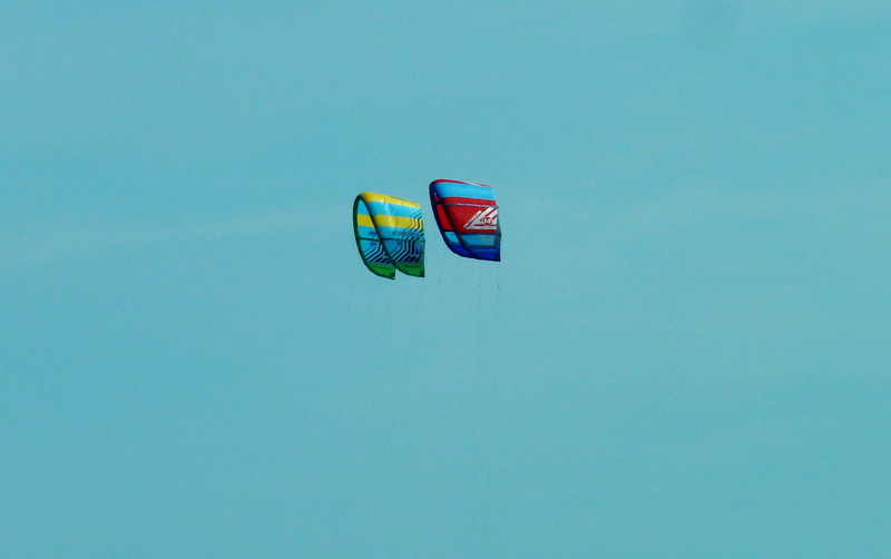 the beach in kiten, kiting, glide, parasailing, mid-air, adventure, fly, surf, surfer, multi colored, transportation, nature, day, freedom, paragliding