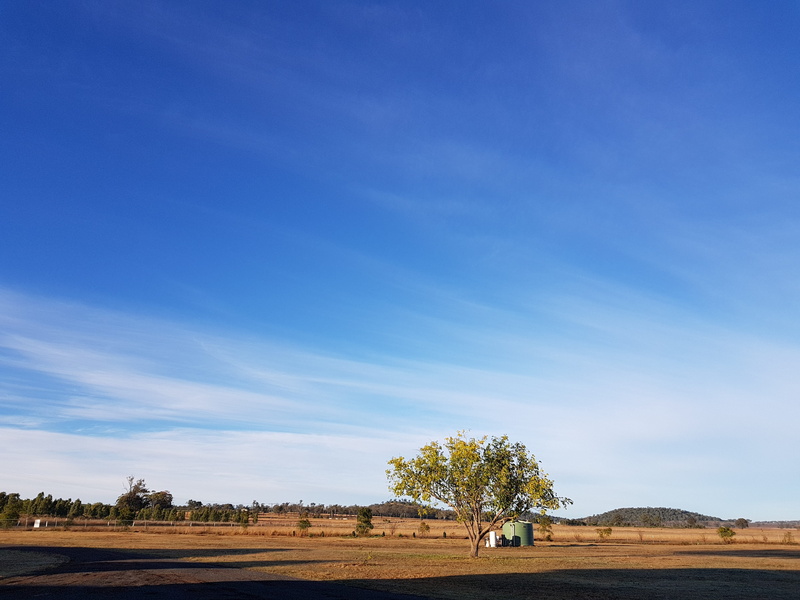 scenics - nature, practice, no people, semi-arid, copy space, day, tranquil scene, landscape, non-urban scene, beauty in nature, spirituality, tree, fragrant light buddha temple
