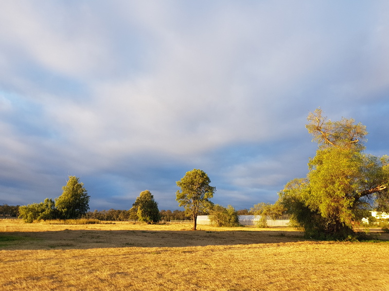 nature, buddhism, scenics - nature, spirituality, grass, buddha hall, sunlight, tree, practice, learn buddha, cloud - sky, outdoors, landscape, beauty in nature