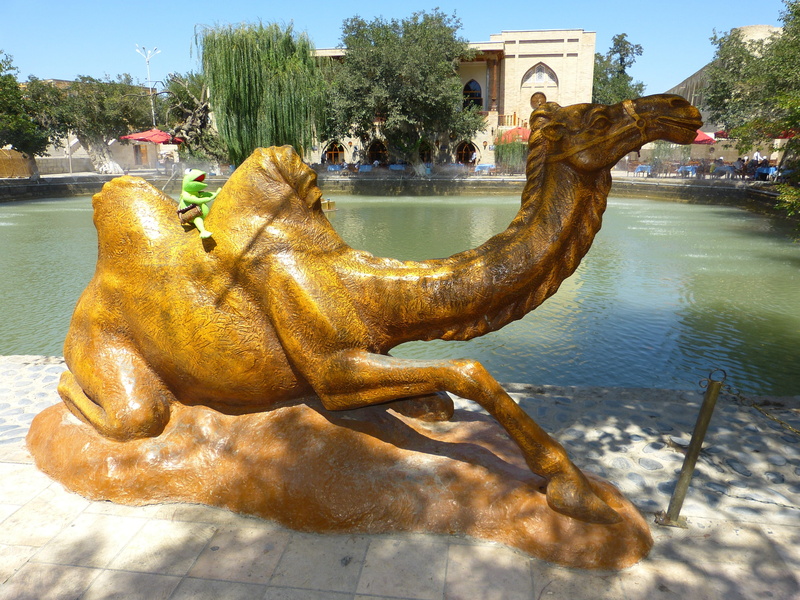 frog, outdoors, labi hauz, architecture, Pond, sunlight, ride, built structure, sky, bukhara, kermit, 4K, Camel, human representation, sculpture, creativity