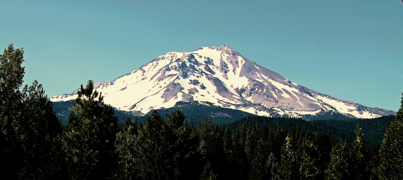 plant, 4K, trees, mountain range, mount shasta, adventure, cold temperature, clear sky, nature, activity, leisure activity, snow, outdoors, forest, mountain peak
