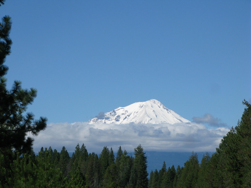 tranquility, blue, usa, above, no people, pine tree, scenics - nature, Nature, shasta, landscape, cascade, snow, Shasta, beauty in nature, tranquil scene