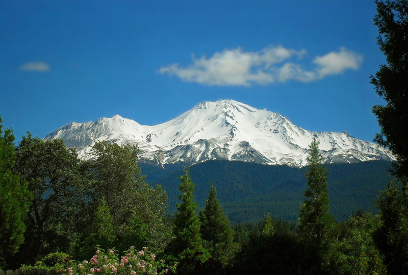 4K, beauty in nature, growth, natural, mountain range, pine tree, plant, snowcapped mountain, tranquility, mountain, view, Mount Shasta, mountain peak
