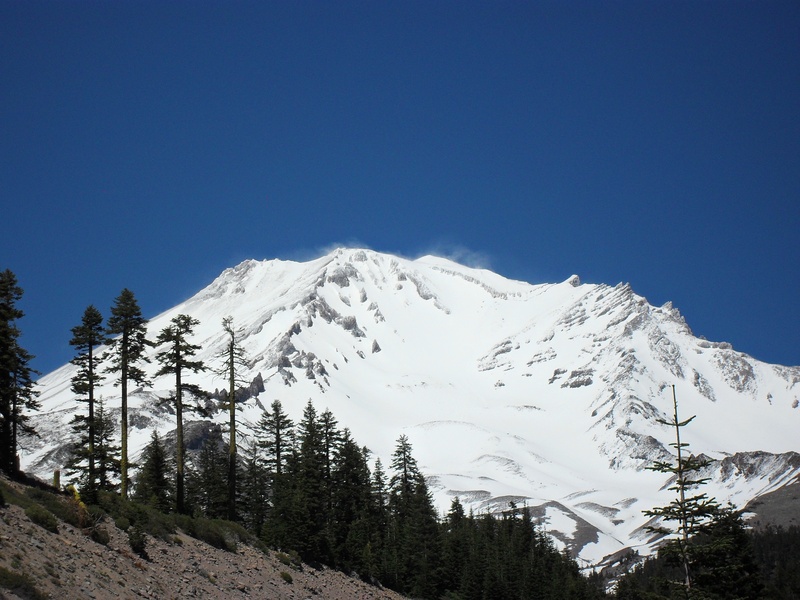 2K, pines, landscape, snowcapped, clear sky, winter, park, snow, trees, mountain peak, mount shasta, scene, mountain range, environment, non-urban scene