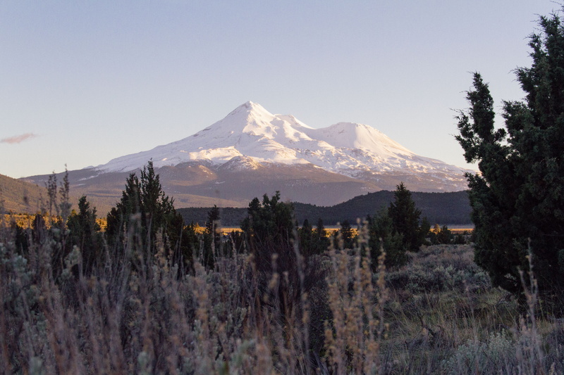 snowcapped mountain, no people, mountain, tree, sunset, landscape, california, united states, cold temperature, sky, snowy mountain, mt shasta, trees, nature
