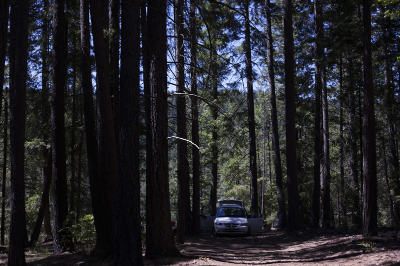 land, trees, motor vehicle, tree, 5K, road, tranquility, transportation, plant, mt shasta, land vehicle, woodland, outdoors, mode of transportation, direction