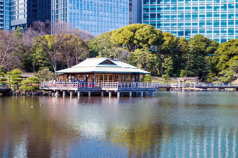 office building exterior, water, 1080P, lake, reflection, building exterior, beauty in nature, chūō-ku, day, city, no people, japan, plant, nature, tokyo
