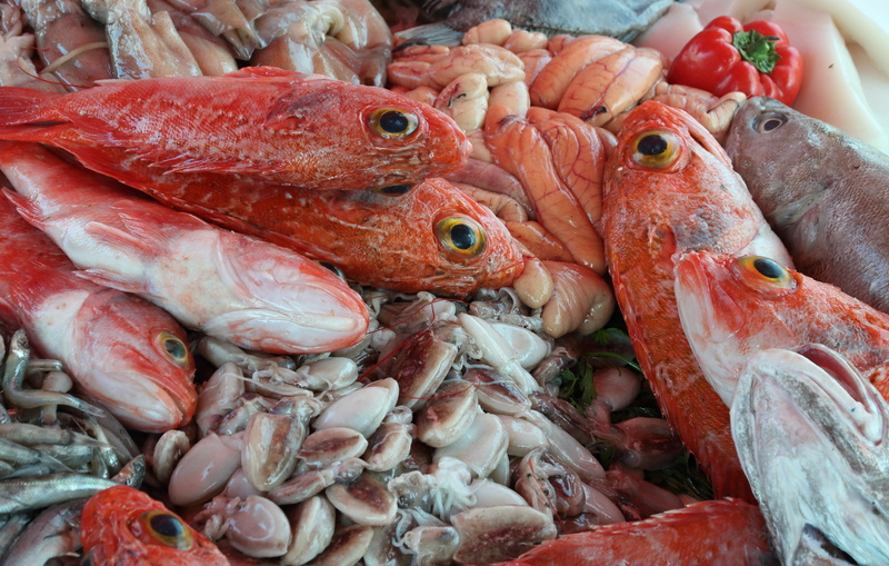 market, sale, still life, fish, vertebrate, 5K, food, large group of objects, fishing industry, freshness, seafood, choice, healthy eating, animal, food and drink