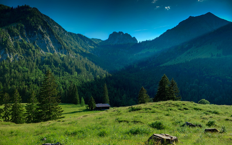 tranquil scene, idyllic, growth, fields, beauty in nature, ray, nature, mountains, environment, blue, tree, non-urban scene, last, mountain peak, plant