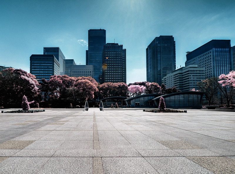 Buildings, built structure, skyscraper, tree, nature, Skyline, building exterior, building, sky, blue, office, rise, tall - high, 2K, Urban, office building exterior