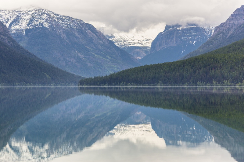 wilderness, coniferous tree, scenics, glacier national park, environment, near, reflection, montana, pine tree, scenics - nature, body, cloud - sky, nature