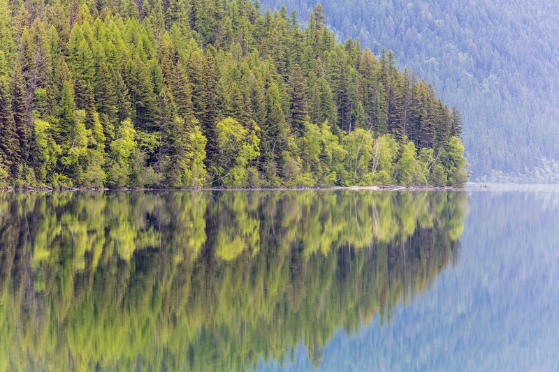 bowman lake, glacier national park, no people, montana, green color, landscape, scenic, trees, tranquil scene, recreation, wilderness, tree, pine woodland