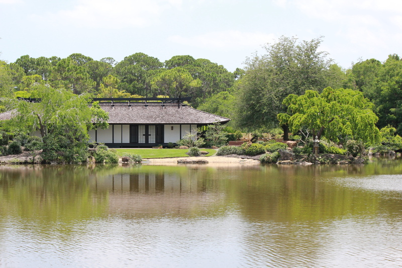 asia, beauty in nature, architecture, reflection, traditional, japanese, green color, japanese dwelling, growth, 5K, plant, japanese-style, nature, built structure
