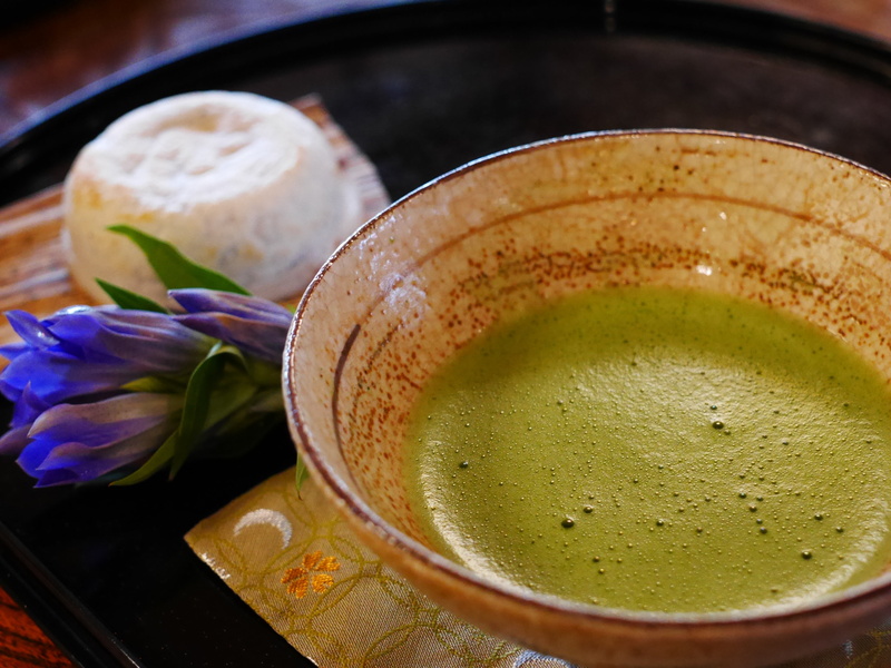 tea ceremony, japanese food, flower, freshness, still life, close, tray, inside, liquid, matcha green tea, asian food, indoors, tea time, temptation, wellbeing