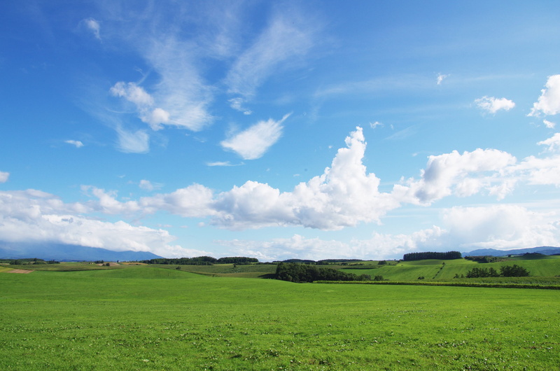 green, beauty in nature, land, Natural, agriculture, tranquility, Biei, grass, landscape, cloud - sky, scenics - nature, day, blue, nature, environment
